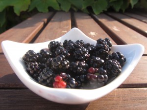 gemeinsam vital - brombeeren so good