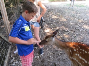 gemeinsamvital - tierpark ernstbrunn